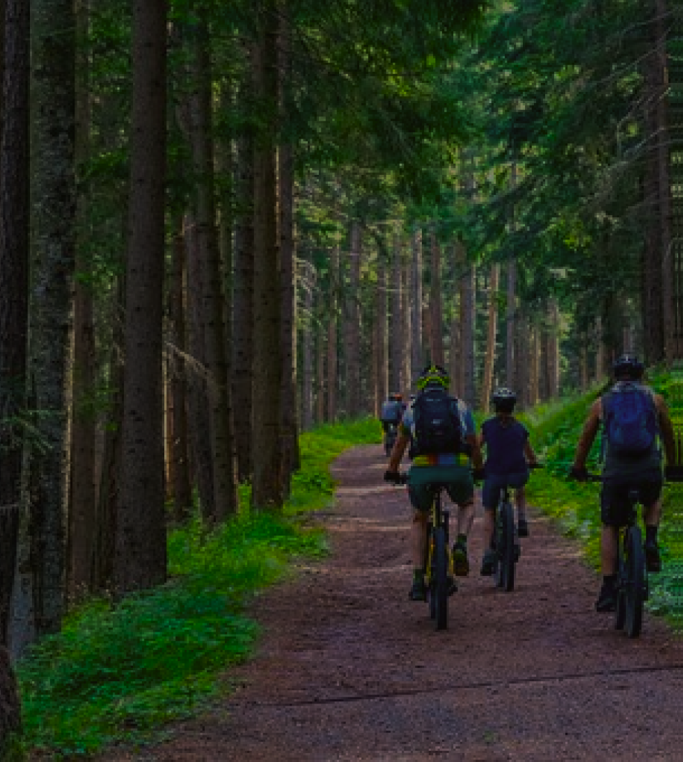image de fond valeurs du sport